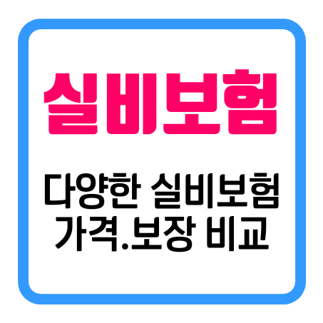 실손보험추천 성인 및 노인에게도 괜찮은 의료 실비보험료 가격 얼마인지 비교해 보세요.