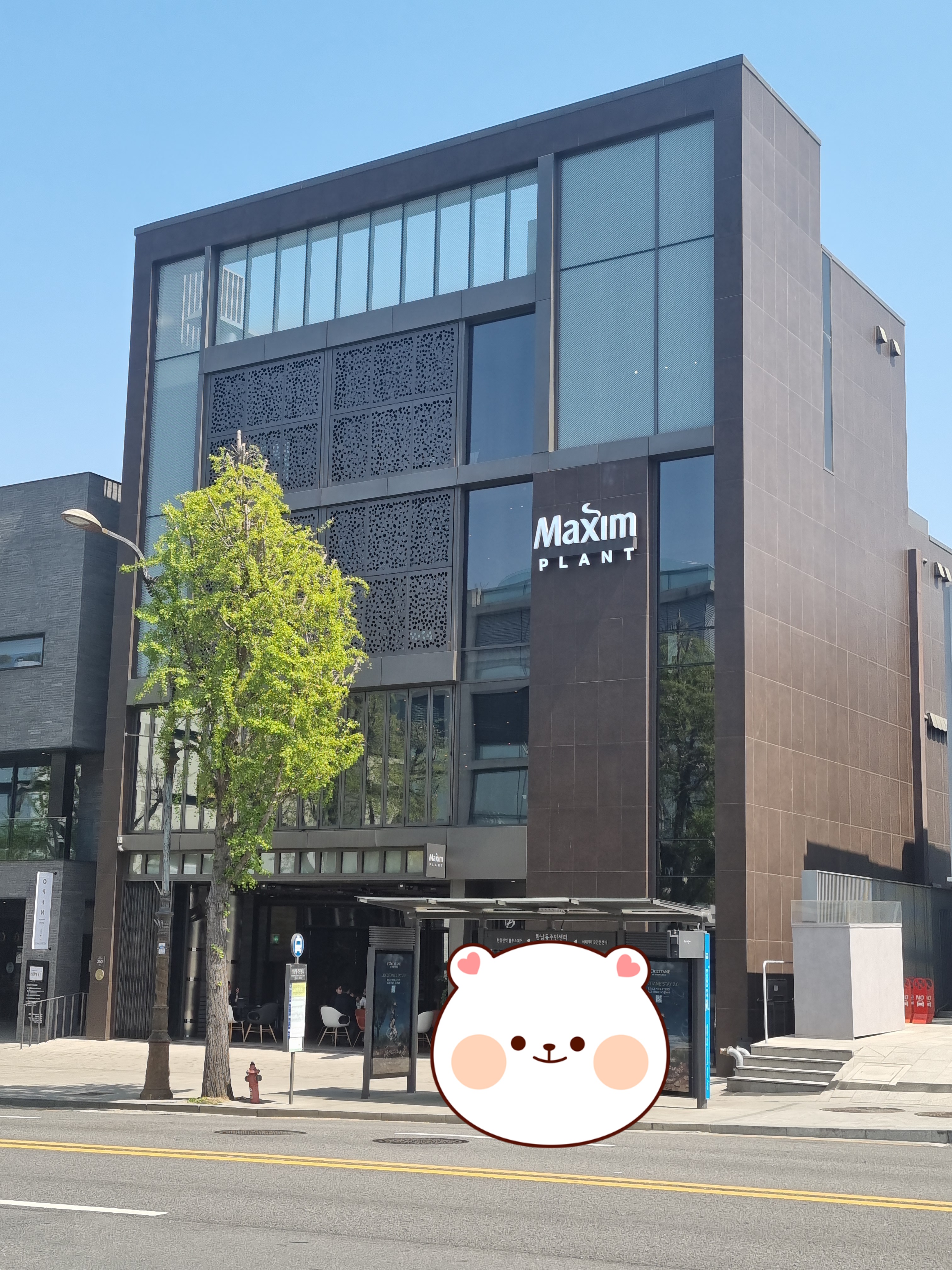  한남동 맥심 플랜트에 다녀왔어요~