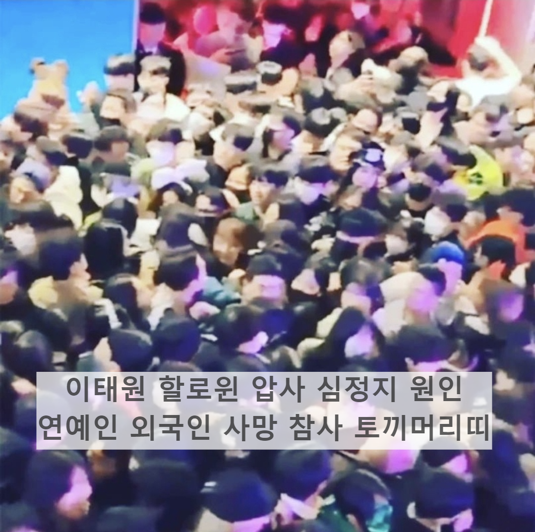  이태원 할로윈 압사 심정지 원인 연예인 외국인 사망 참사 토끼머리띠 국민애도기간 분향소 는