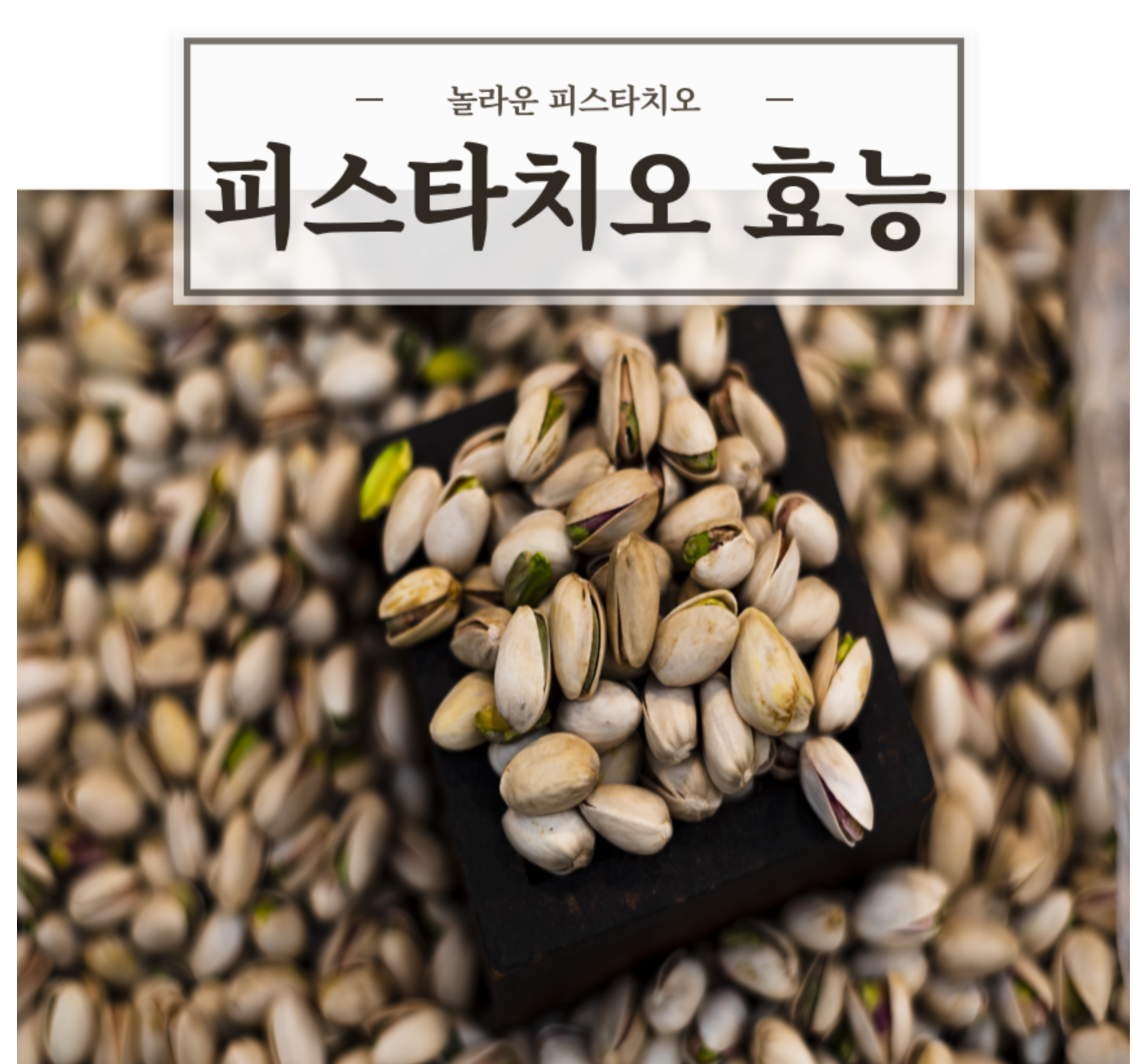  피스타치오 효능 과 부작용 알고 간식용 먹자