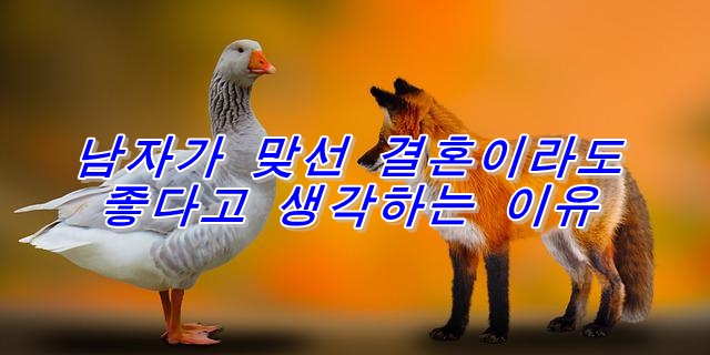  남자가 맞선결혼이라도 좋다고 생각하는 이유