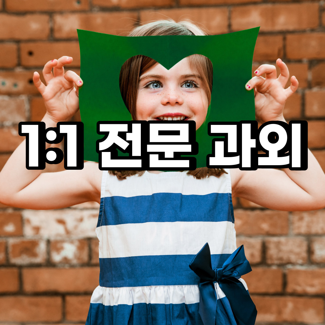  안성 초등 영어과외 보개면 금광면 중등 고등 국어 수학과외 검정고시