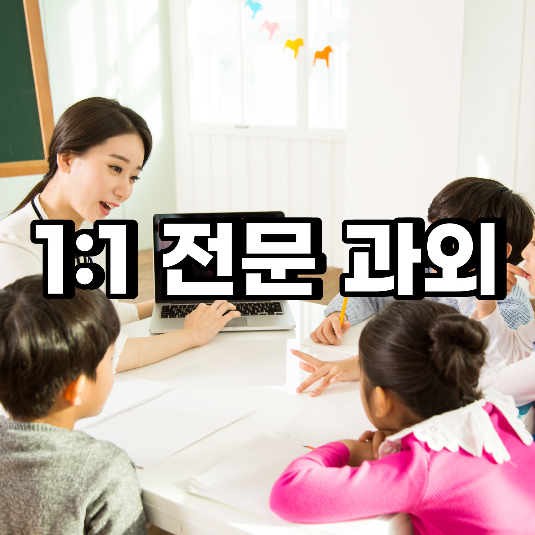  청도 초등 영어과외 고령 성주 중학생 중등 고등 국어 수학과외