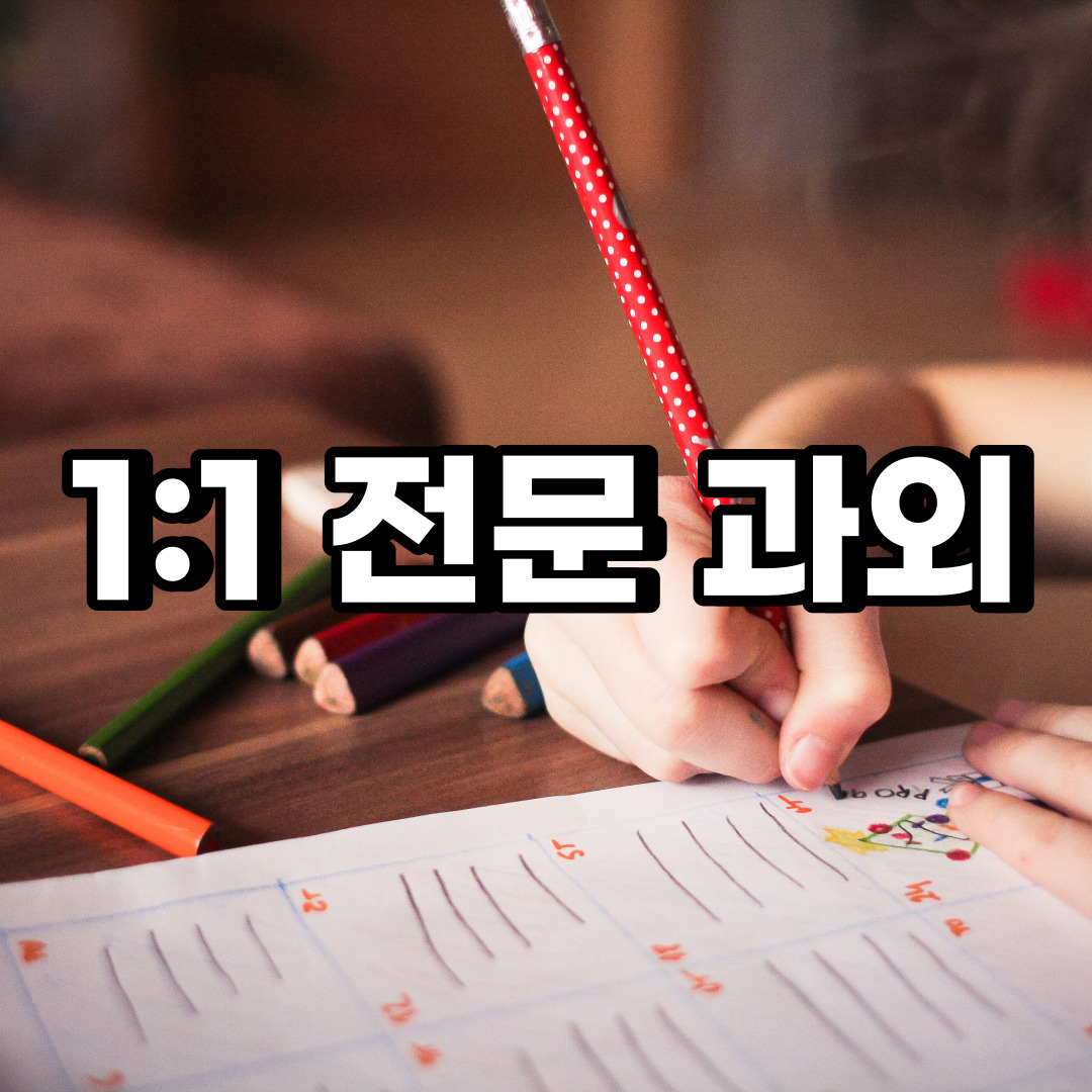  중구 초등 영어과외 신당동 흥인동  중학생 중등 고등 국어 수학과외