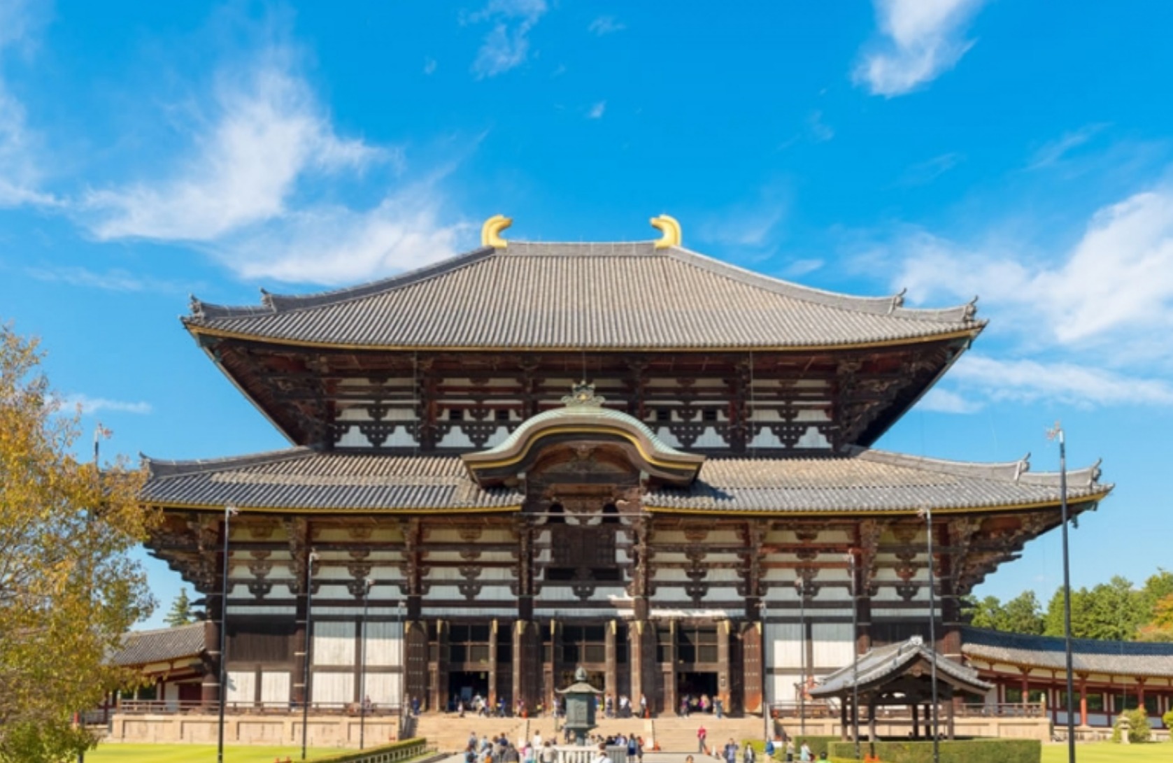 일본 나라현의 인기 관광지 TOP5~여행을 좋아하는 사람이 가고 있는 관광지 랭킹