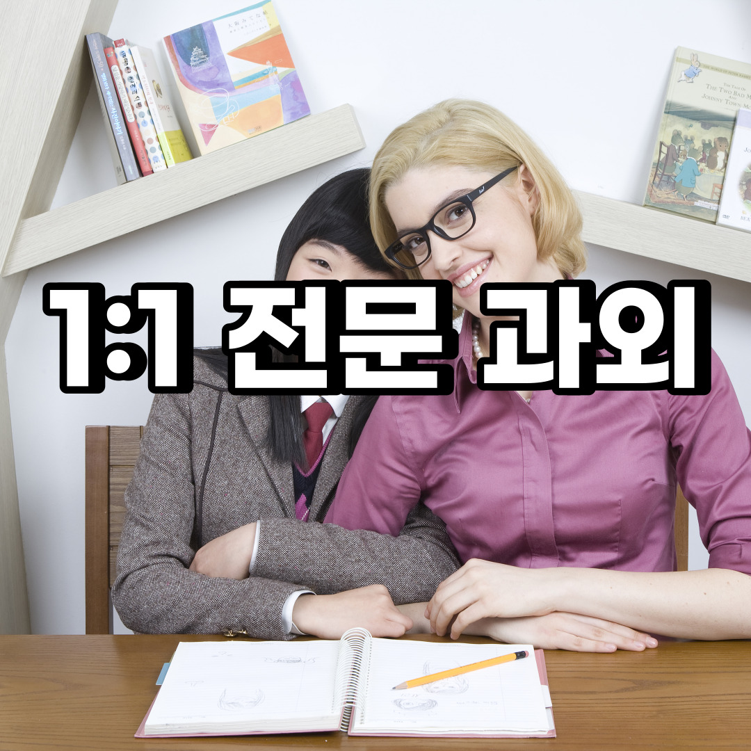  만안구 초등 영어과외 박달동  중등 고등 국어 수학과외 검정고시