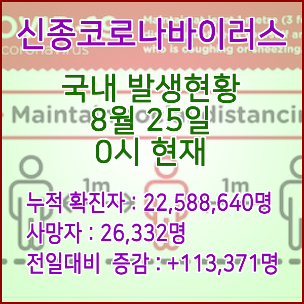  코로나19(코로나바이러스) 8월 25일 0시 신규확진자 113,371명 / 사망자 26,332명