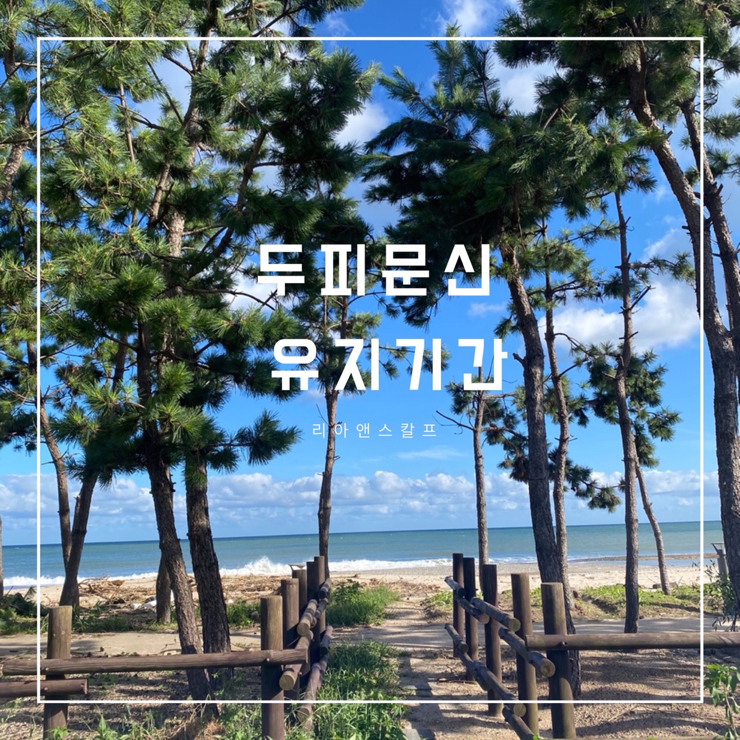  대구두피문신잘하는곳/리아앤스칼프/유지기간