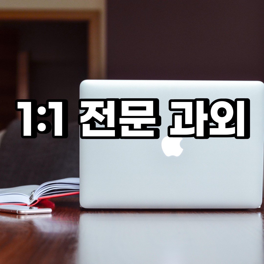  덕양구 초등 영어과외 흥도동 창릉동 중등 고등 국어 수학과외 검정고시