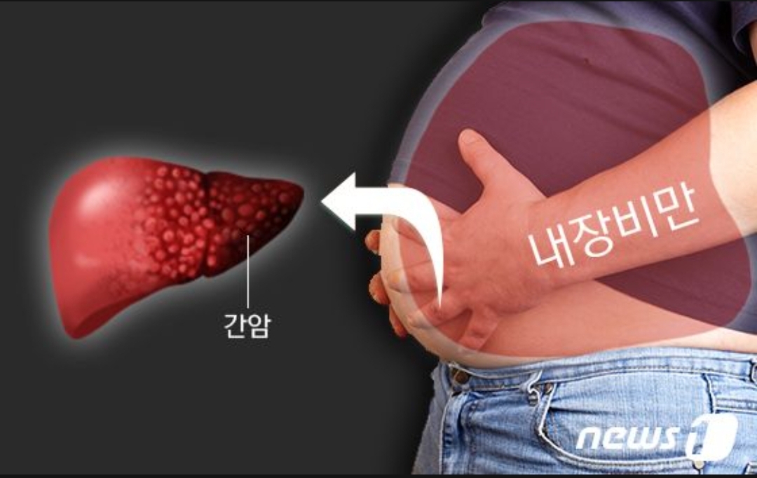  만인의 목표 다이어트, 누워서도 뱃살 뺀다