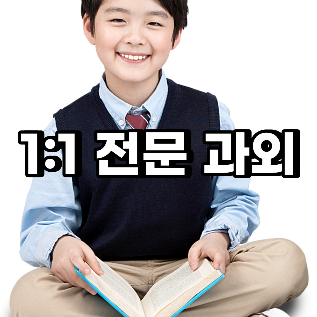  마포구 초등 영어과외 성산동 중동 중등 고등 국어 수학과외