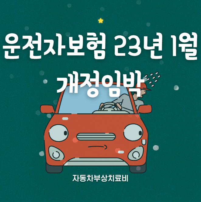  자동차부상치료비 마지막 기회 12월 운전자보험 1월 개정 임박/ 자부상,자부치,자동차보험
