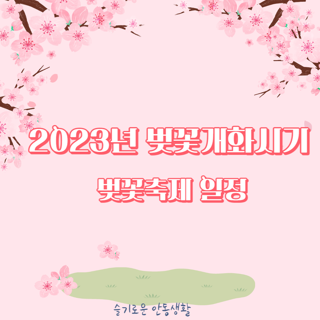 2023년 벚꽃 개화시기, 벚꽃 축제 일정