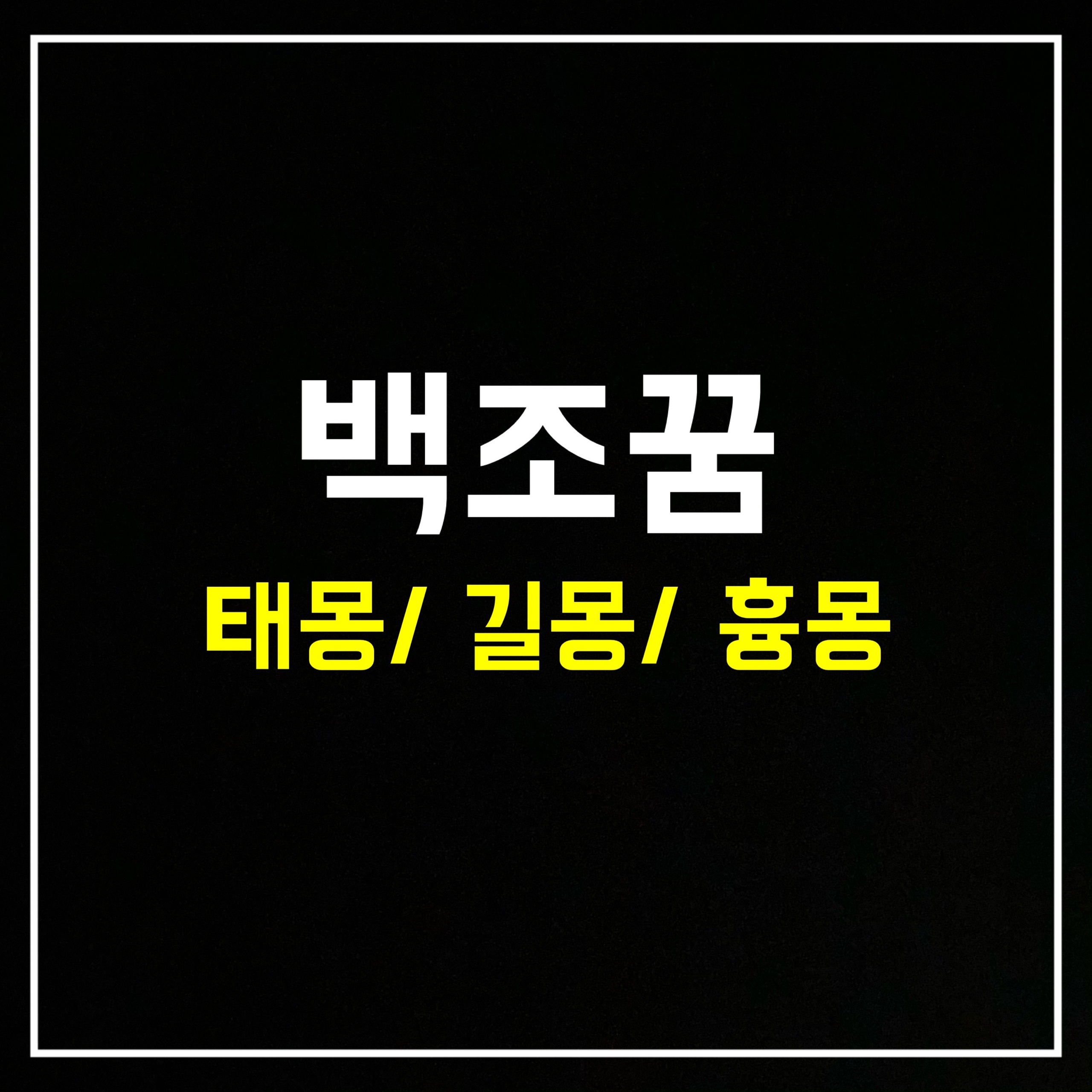  [동물꿈] 백조꿈은 어떤 의미일까? 태몽/ 길몽/ 흉몽 총정리