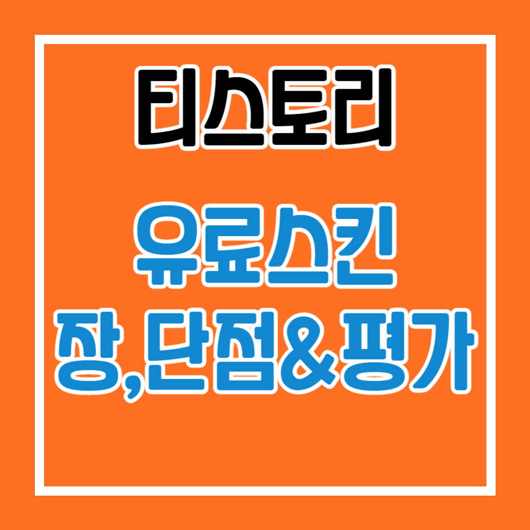  티스토리 유료 스킨 장점, 단점, 느낀점 평가 JB 167 Skin