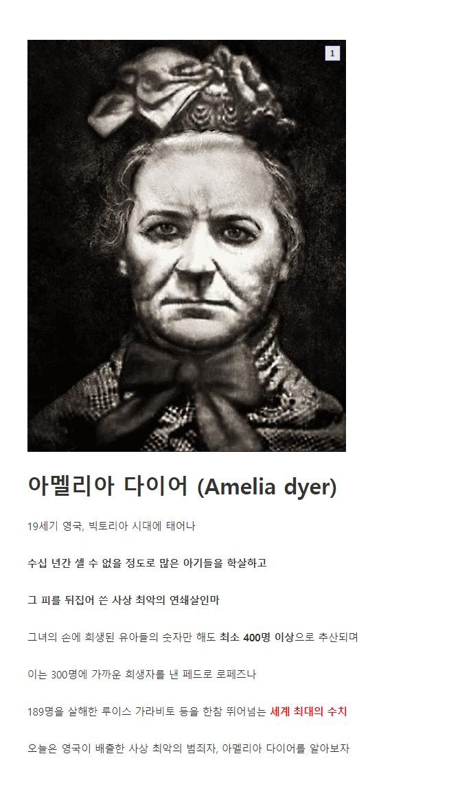  공포)사상 최악의 연쇄살인마, 아멜리아를 알아보자