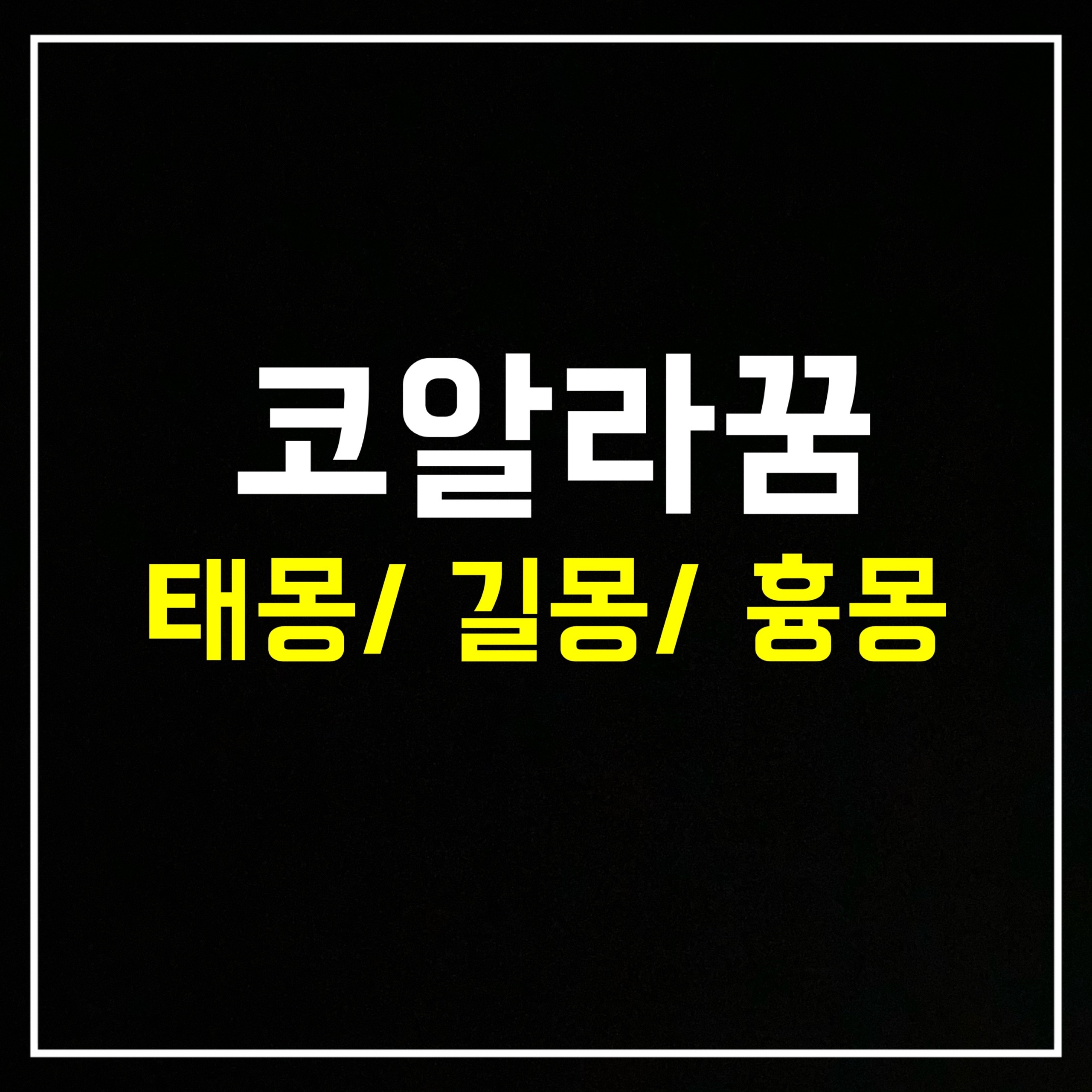  [동물꿈] 코알라꿈은 어떤 의미일까? 태몽/길몽/흉몽 총정리