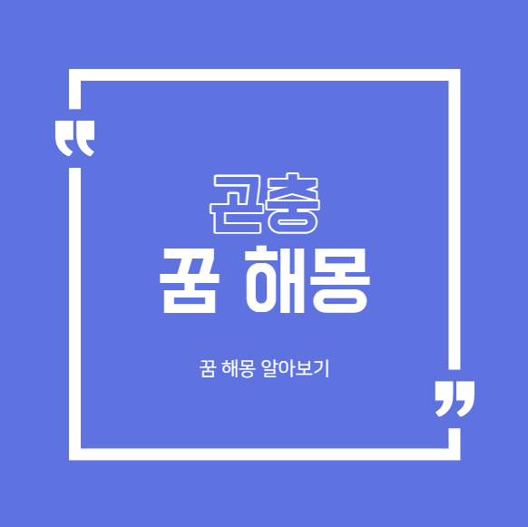  곤충 꿈 해몽 대표적인 28가지 모음
