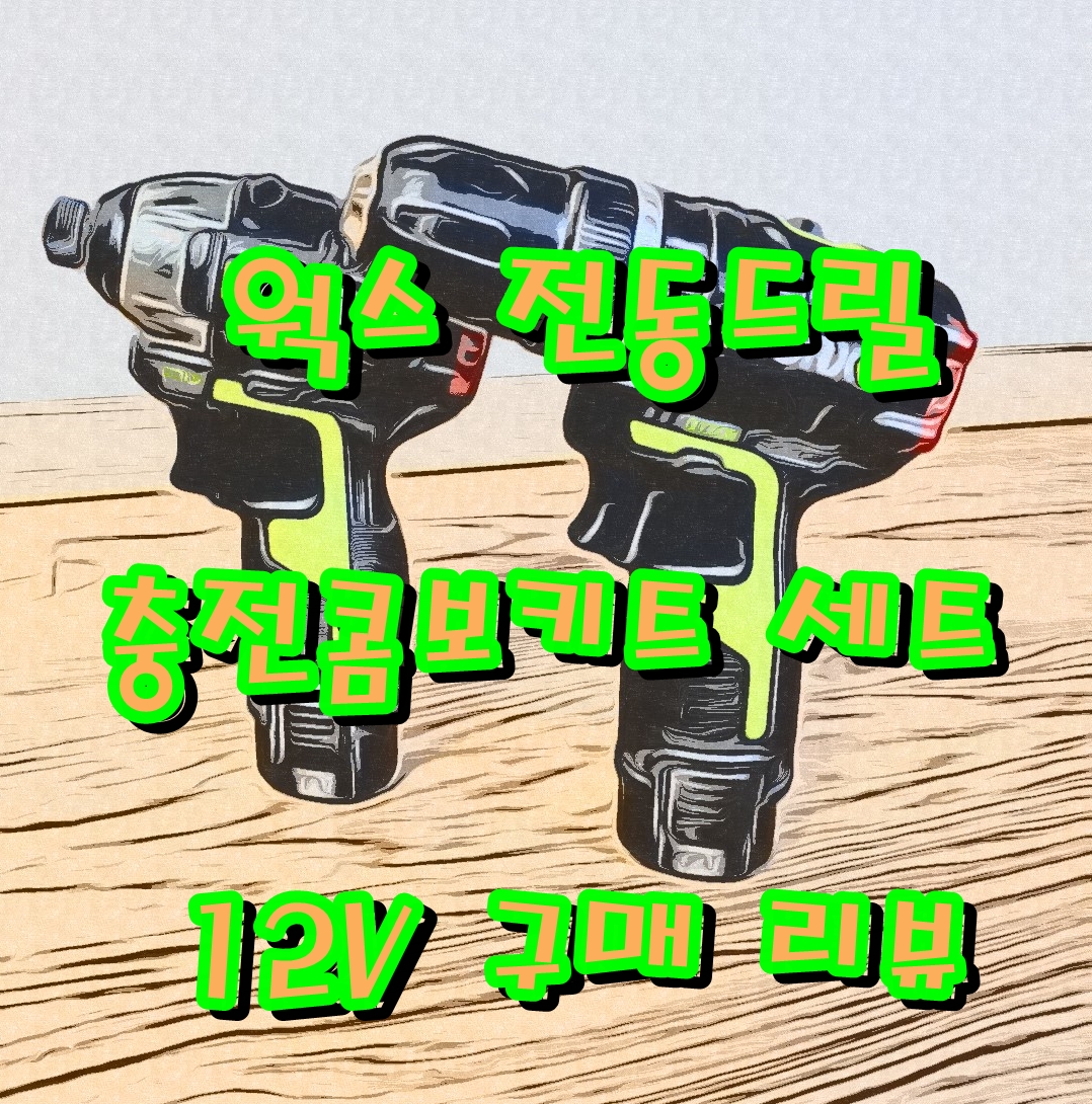  (WORK) 웍스 전동드릴+임팩드릴 구입후기 리뷰