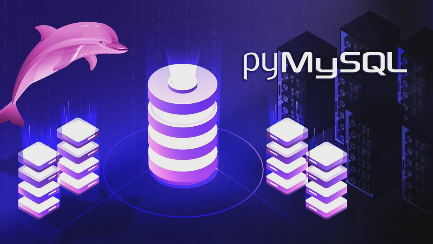  Python Database