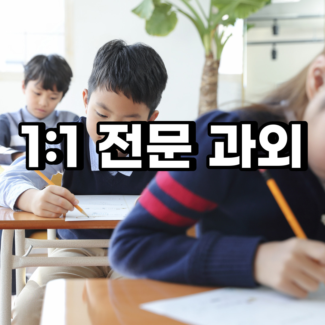  남양주 초등 영어과외 조안면 양정동 중등 고등 국어 수학과외 검정고시