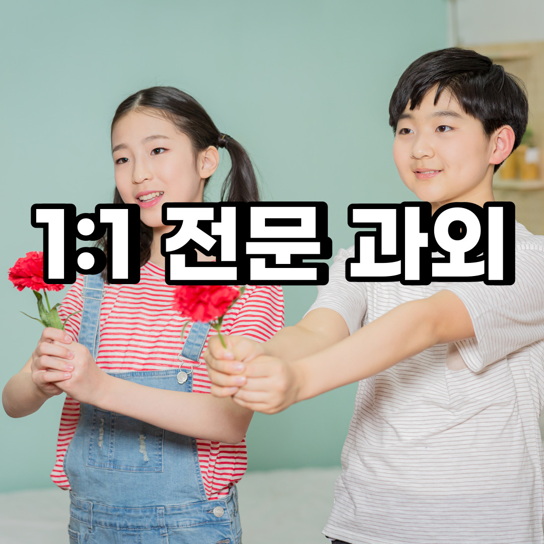  파주 초등 영어과외 군내면 장단면 중등 고등 국어 수학과외 검정고시