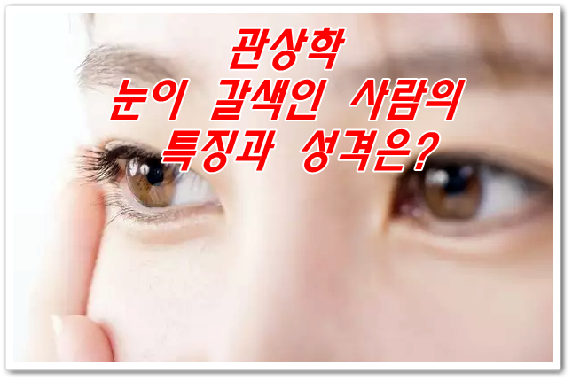  관상학-눈이 갈색인 사람의 특징과 성격은?