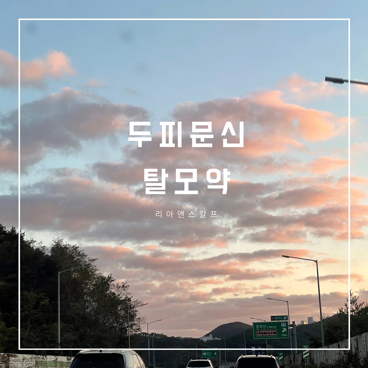  대구두피문신잘하는곳/리아앤스칼프/탈모약