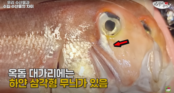  옥돔