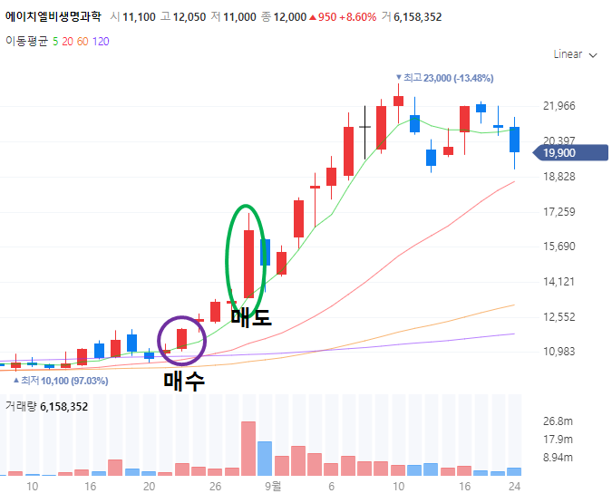  [에이치엘비/에이치엘비생명과학] 너무 소심했던 개미 민또