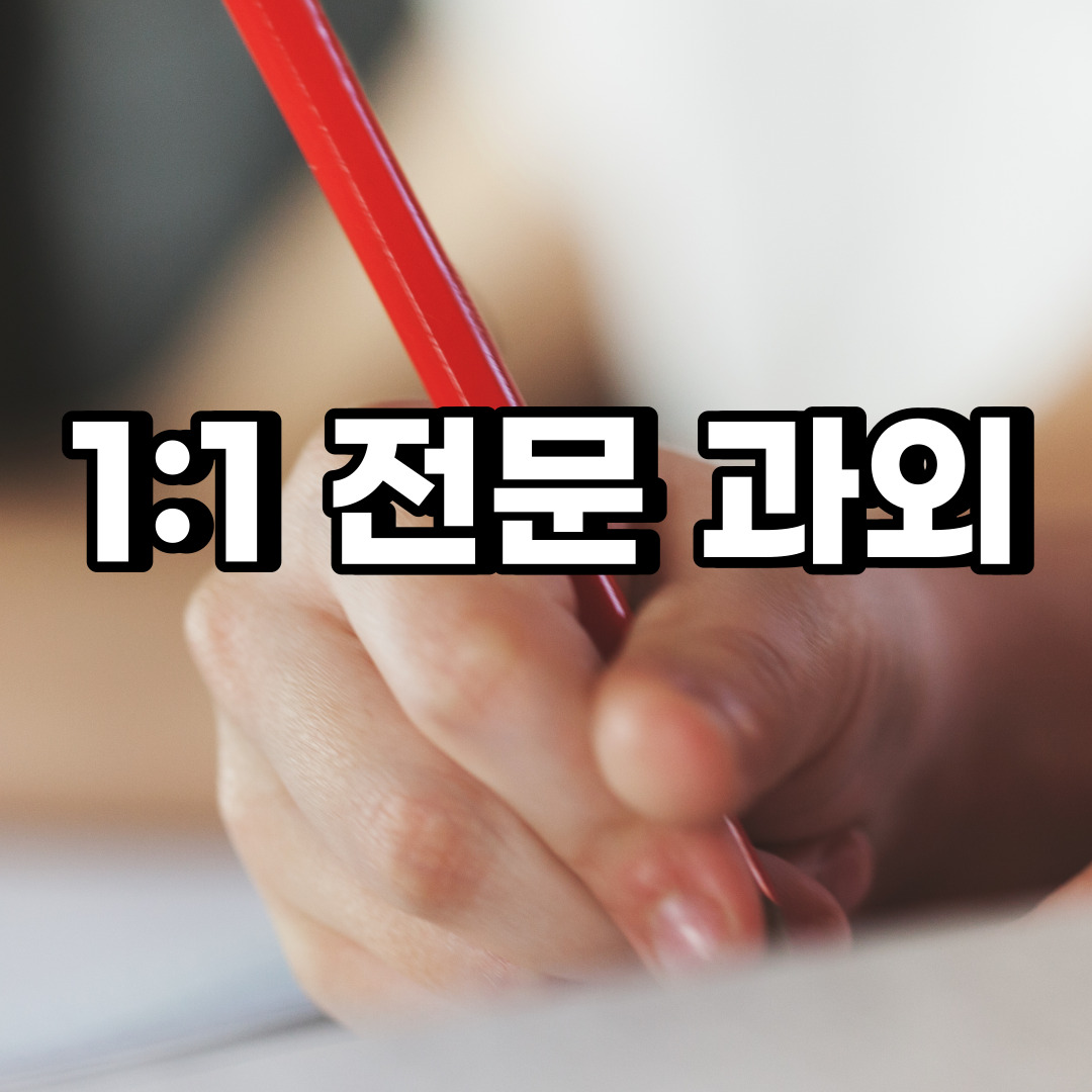  분당구 초등 영어과외 궁내동 동원동 중등 고등 국어 수학과외 검정고시