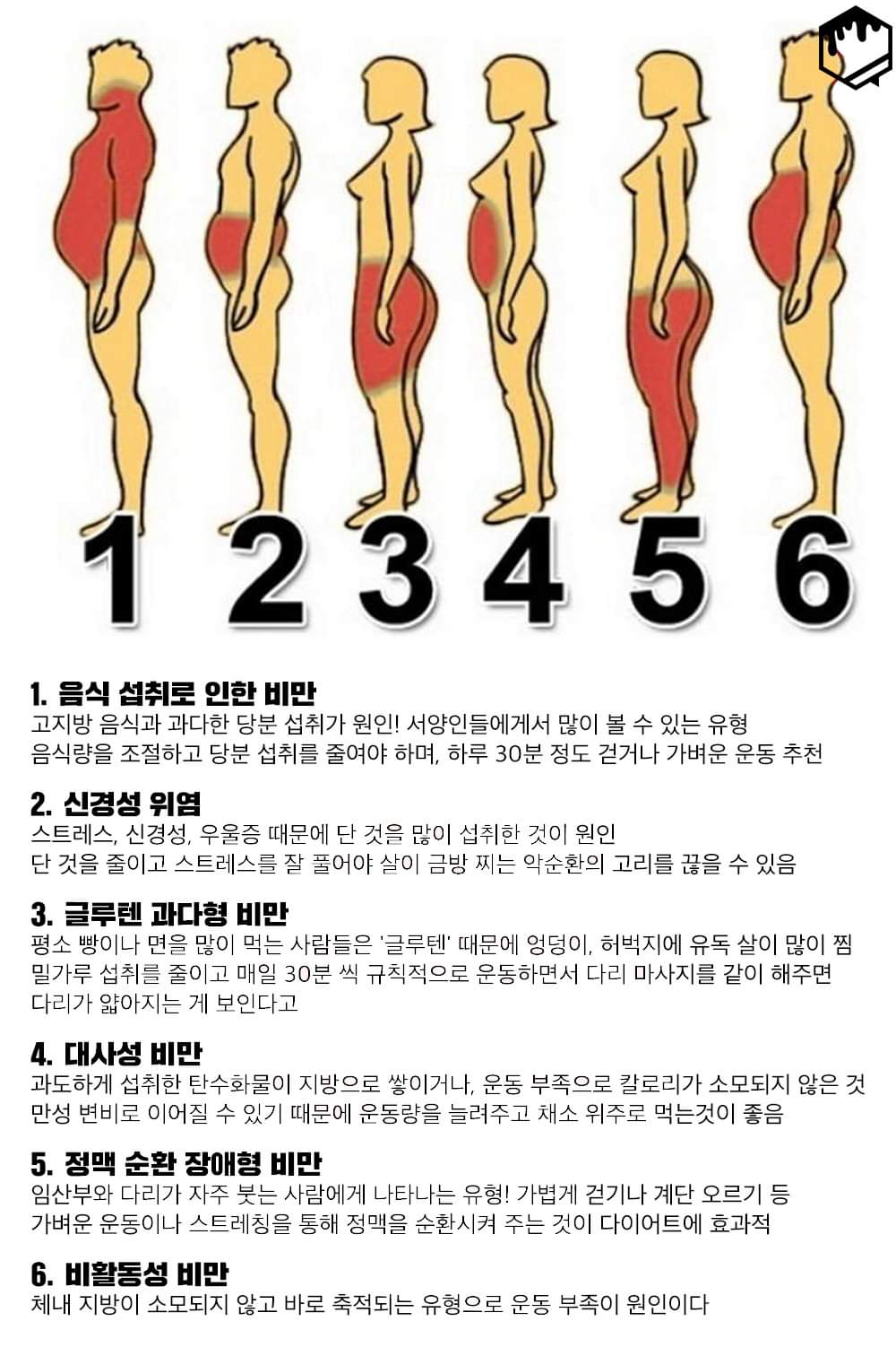  체형별 비만의 종류