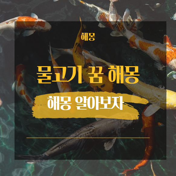  물고기 꿈 해몽 태몽 [ 잉어 붕어 메기 미꾸라지 문어 등 ]