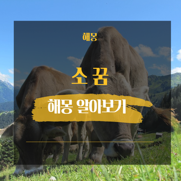  소 꿈 해몽 해석 모음 15가지 [ 누런 검정 뿔달린 황소 등 ]