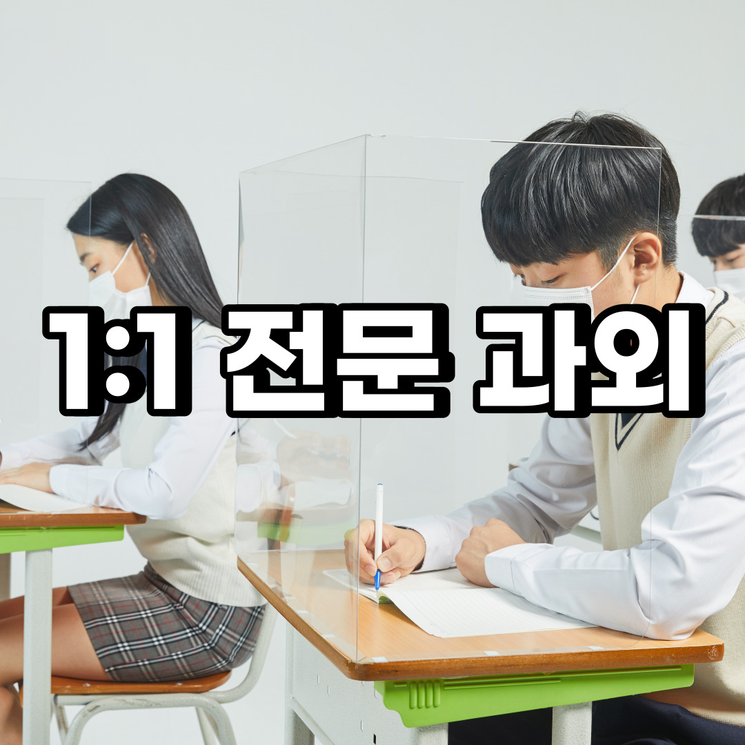  임실 초등 영어과외 순창 고창 중학생 중등 고등 국어 수학과외