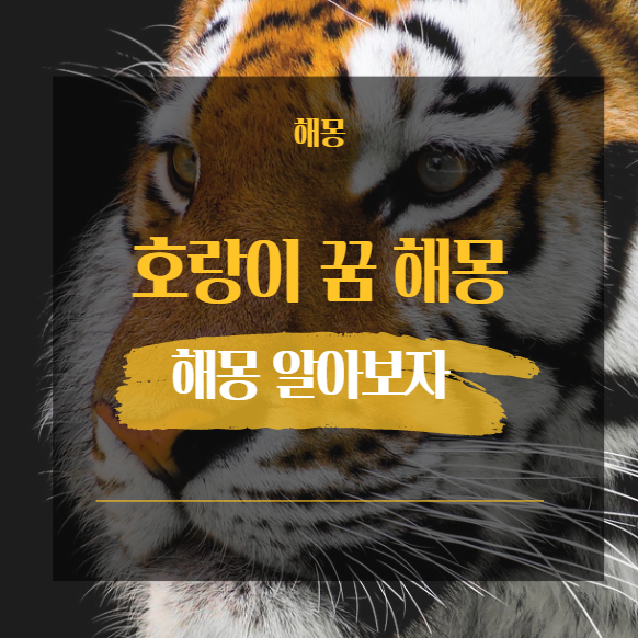  호랑이 꿈 해몽 정리 / 물리는 꿈 보는 꿈 똥 싸는 새끼 가죽 싸우는
