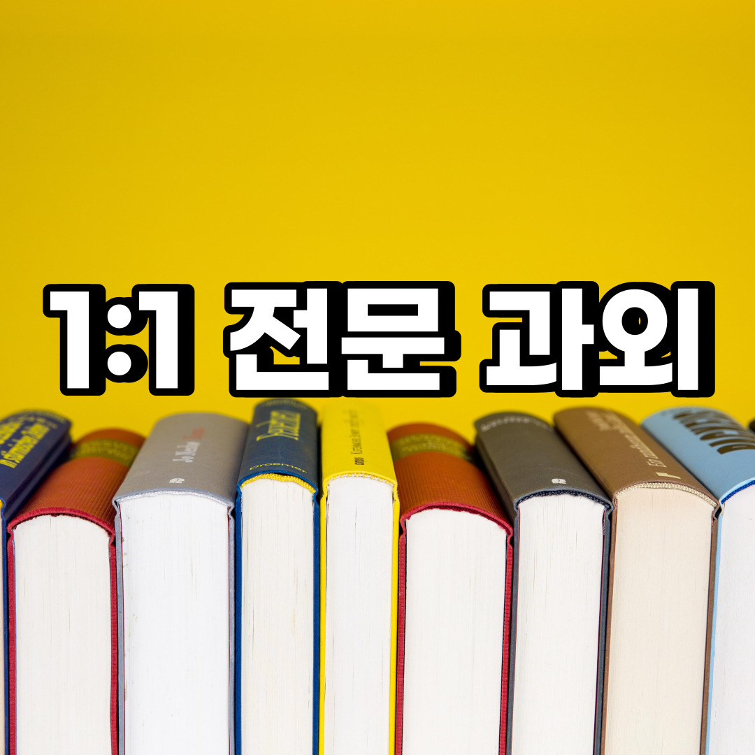  단원구 초등 영어과외  선감동 풍도동 중등 고등 국어 수학과외 검정고시