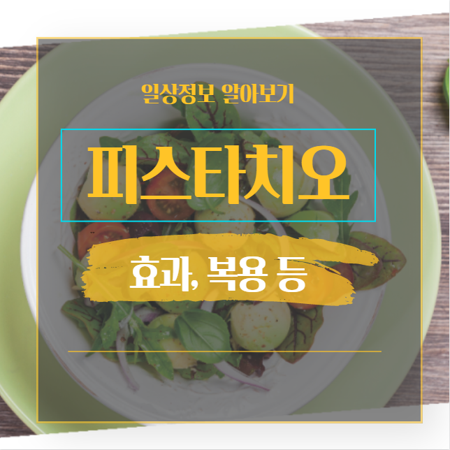  피스타치오 효능 및 하루권장량 섭취시 확인
