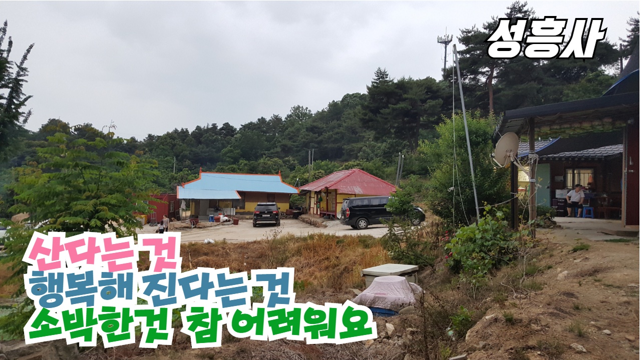  당진점집 태안점집 재수성불 용한곳! 사월초파일 연등접수