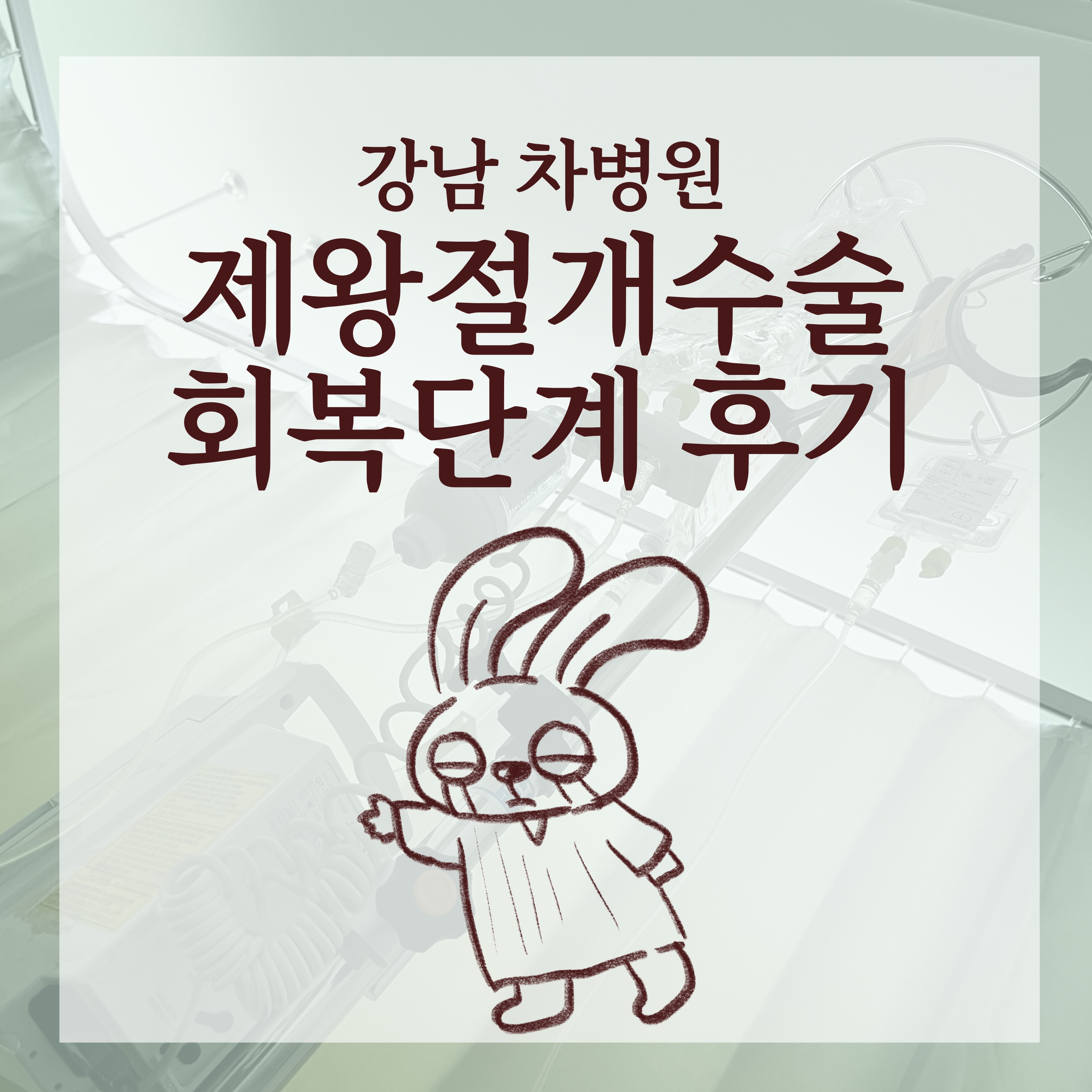 [강남차병원] 제왕절개수술 회복 및 입원 후기