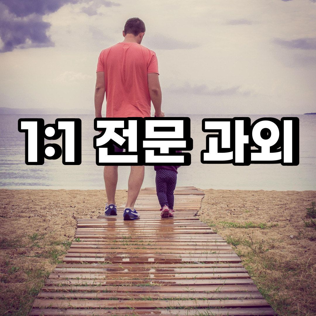 김포 초등 영어과외 운양동 장기동 중등 고등 국어 수학과외 검정고시