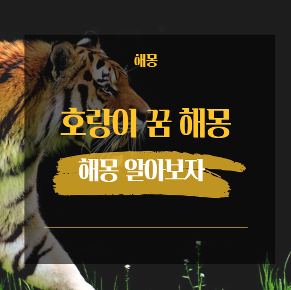  호랑이 꿈 해몽 모음 34가지 [ 달려드는 덮치는 안기는 죽는 ]