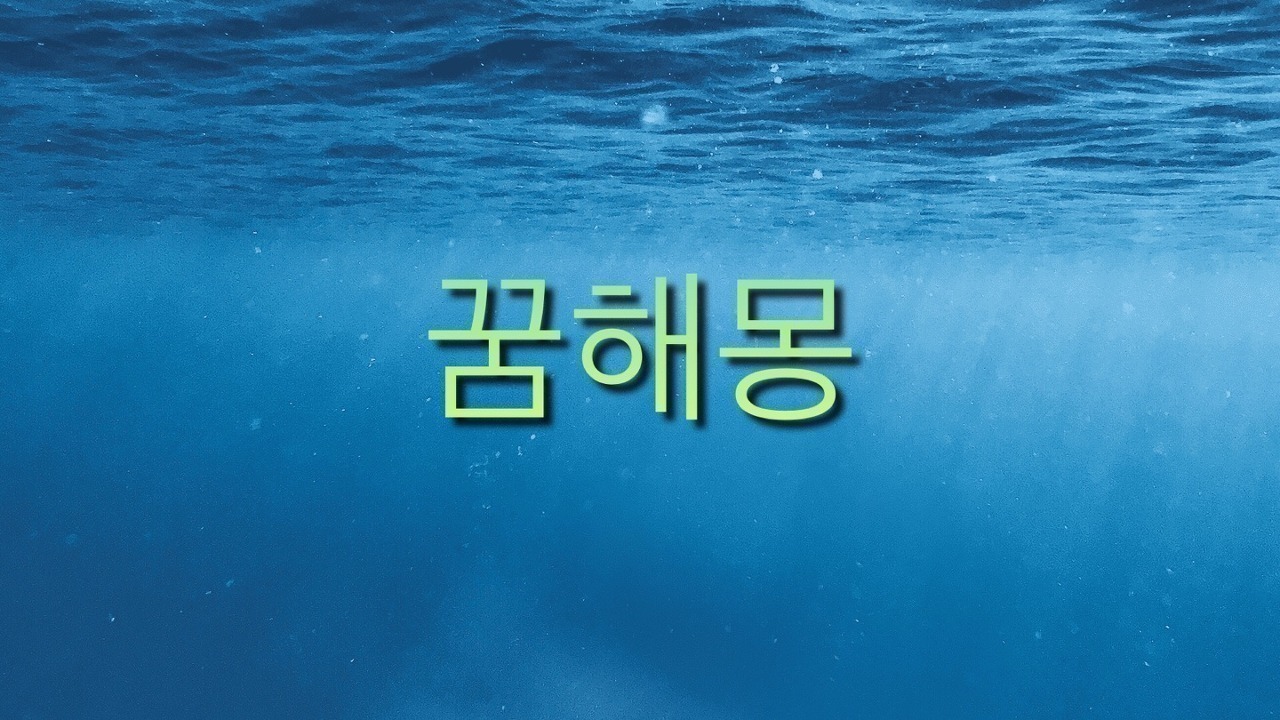  곰 꿈해몽
