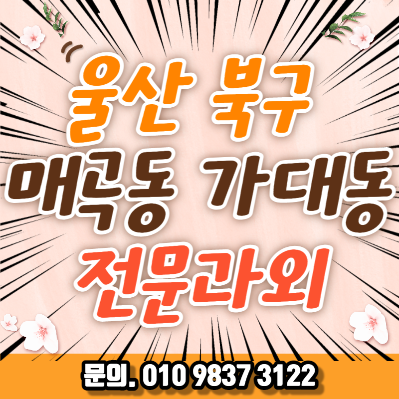  울산마이스터고 수학과외 개운포역근처 과학 대비 울산중1 사탐 내신과외 관리 초등