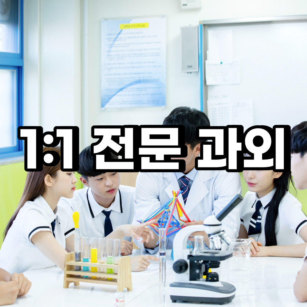  은평구 초등 영어과외 진관동 중등 고등 국어 수학과외