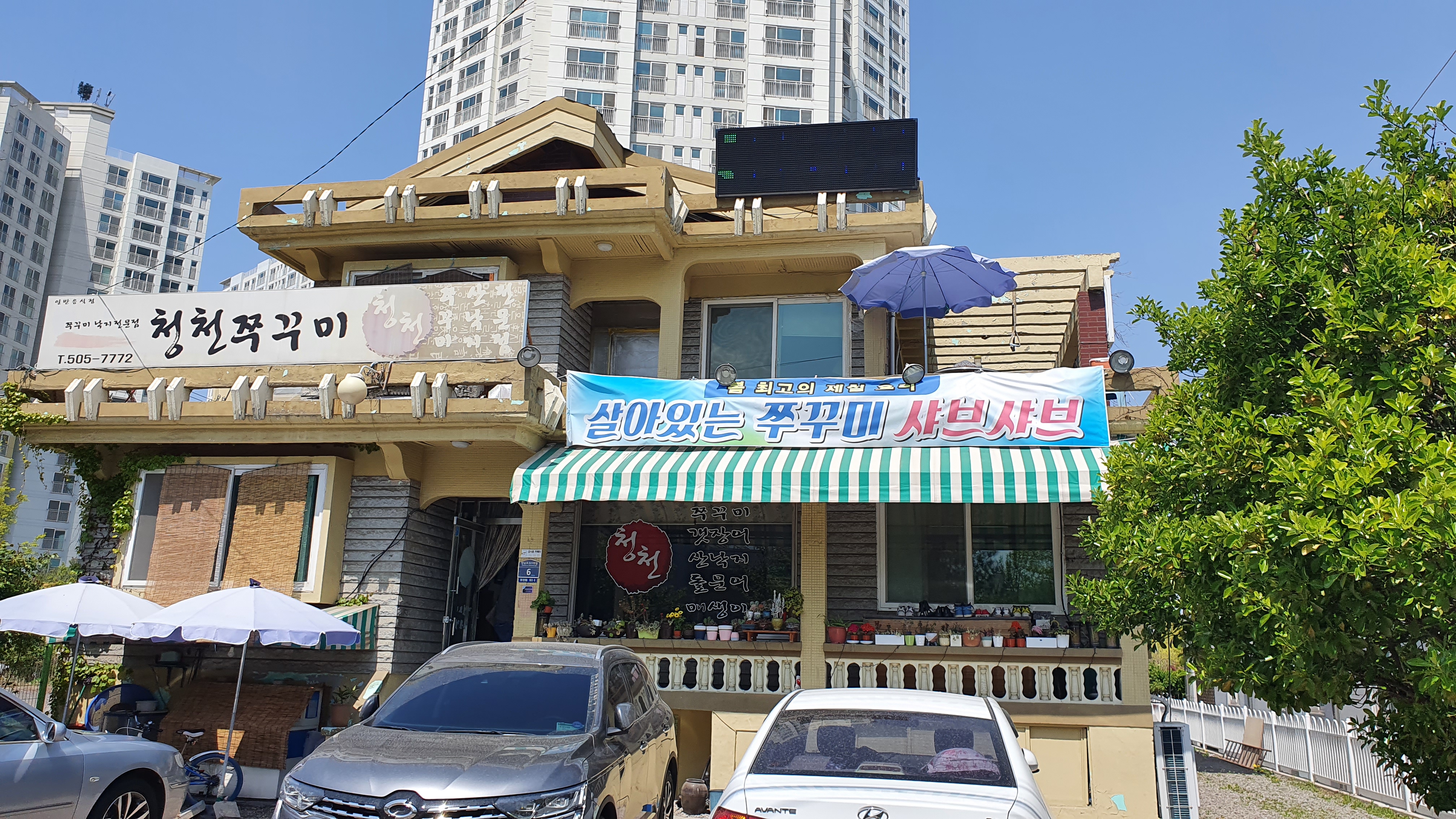  산곡동 청천쭈꾸미에서 봄철 알쭈꾸미 샤브샤브를 먹고왔다 산곡동 맛집