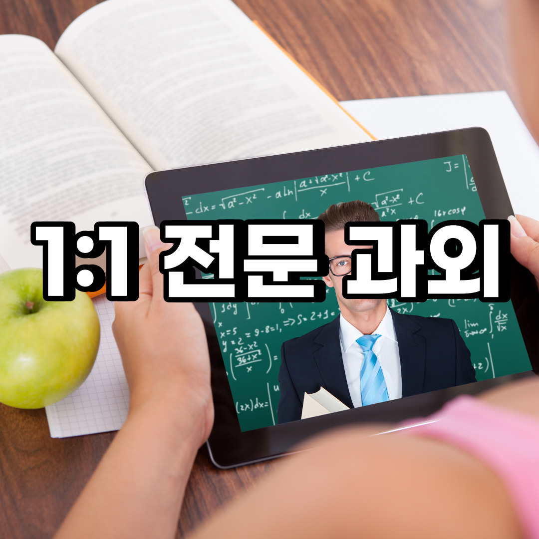  진도 초등 영어과외 신안 제주 중학생 중등 고등 국어 수학과외