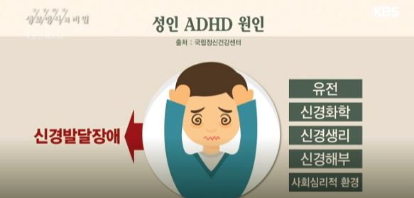  성인 ADHD 증상 7가지와 극복방법! (fa. 원인까지)