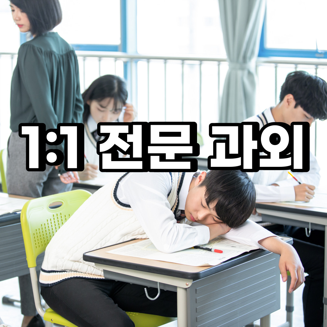  단원구 초등 영어과외 호수동 백운동 중등 고등 국어 수학과외 검정고시