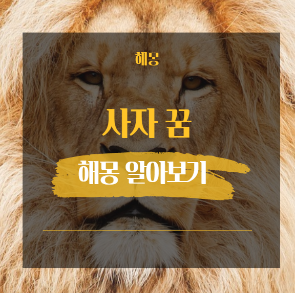  사자 꿈해몽 해석 모음 [ 싸우는 물리는 우는 해골 등 [